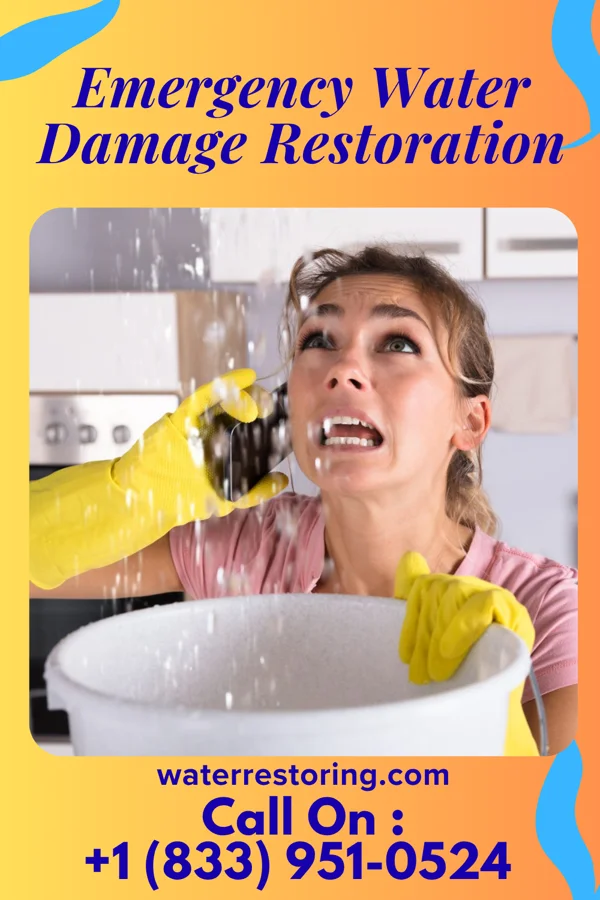 Emergency Water Damage Restoration in Brookside Village, TX